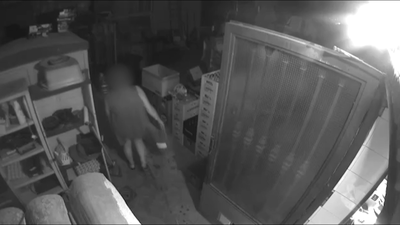 Detienen al presunto autor de varios robos en Casarrubios del Monte, Toledo