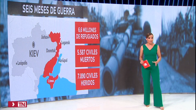 Medio año de guerra en Ucrania: aumenta el miedo a una nueva ofensiva rusa