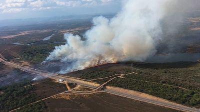 Un virulento incendio forestal obliga a cortar la línea del AVE Madrid-Galicia en Zamora