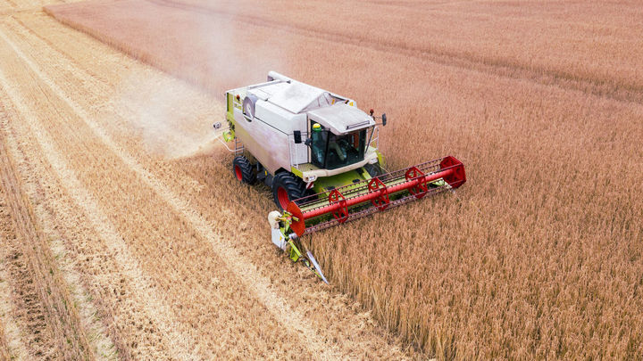 El comercio de cereales teme el alza de costes agrícolas por la crisis en Oriente Medio