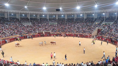 Las fiestas de Navalcarnero vuelven con conciertos, torneos y actividades infantiles