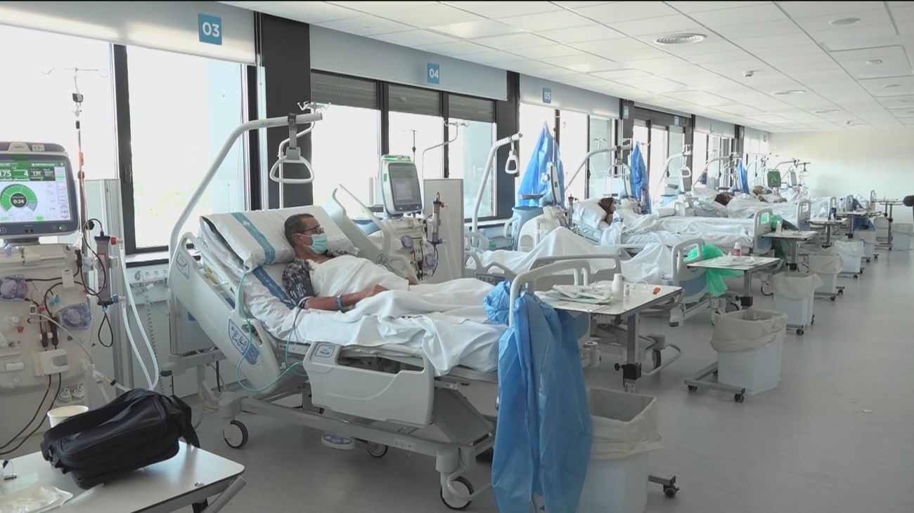 Un fármaco consigue evitar el rechazo a un trasplante renal