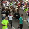 11 encierros y 28 eventos taurinos, en las fiestas patronales de Sanse