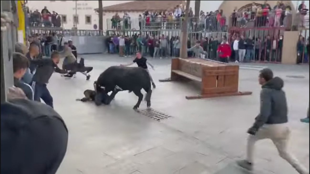 Valencia revisará los festejos taurinos populares por la muerte de 7 personas este verano