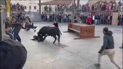 Valencia revisará los festejos taurinos populares por la muerte de 7 personas este verano