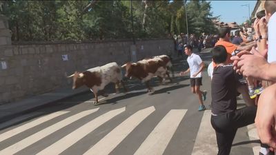 Encierros, conciertos y baile: vuelven las fiestas populares de Cerceda