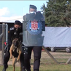 Así entrenan los perros de la Unidad Canina para situaciones límite