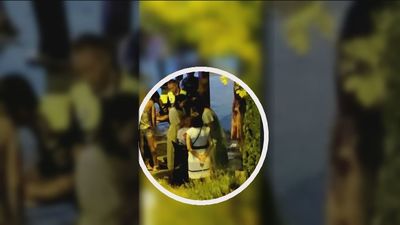 Un perro muerde en la cara a una niña de 6 años en Majadahonda