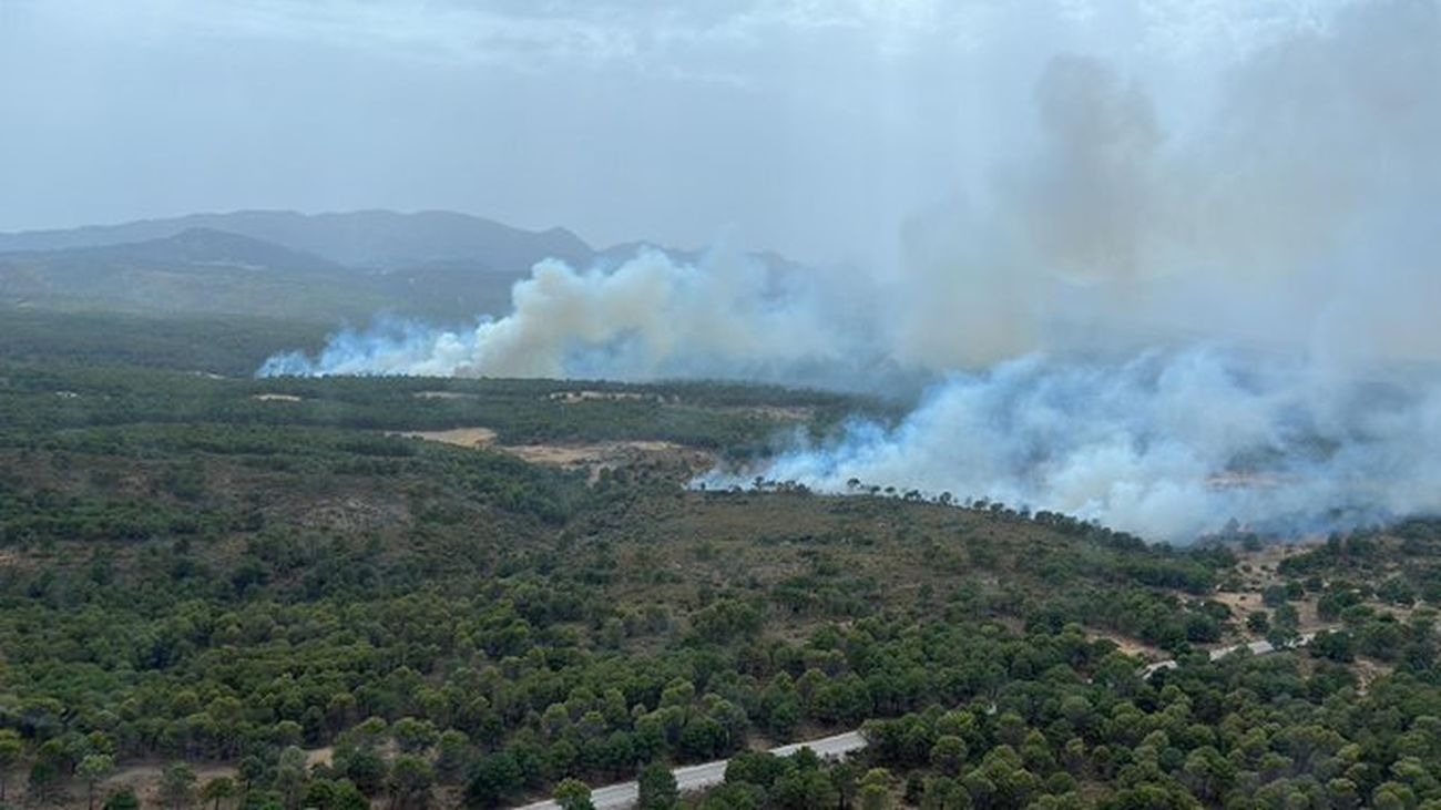 Declarado un fuego forestal en término de Albuñuelas