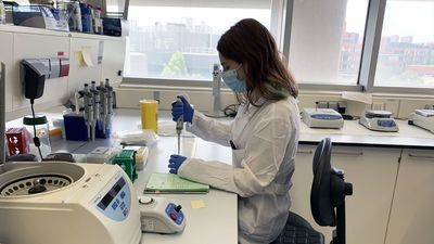 Beber té negro puede estar asociado a un menor riesgo de mortalidad, según un nuevo estudio