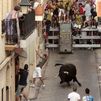 Piden abrir un debate sobre los 'bous' en Valencia tras los 7 muertos de este verano