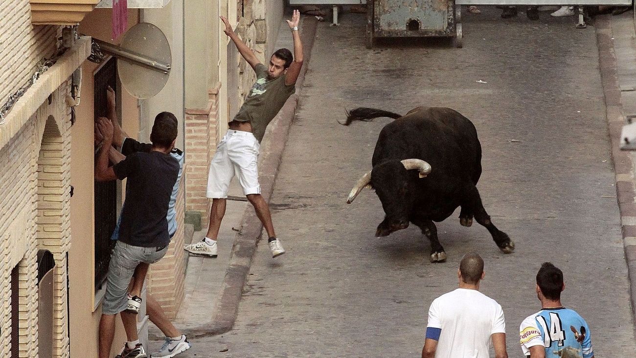 Piden abrir un debate sobre los 'bous' en Valencia tras los 7 muertos de este verano