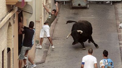 Piden abrir un debate sobre los 'bous' en Valencia tras los 7 muertos de este verano