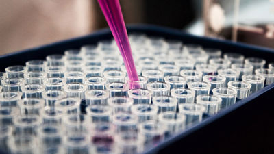 Identifican un mecanismo desconocido que controla el crecimiento de tumores