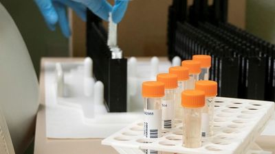 La OMS cree que se puede eliminar la viruela del mono en Europa tras las primeras señales de ralentización