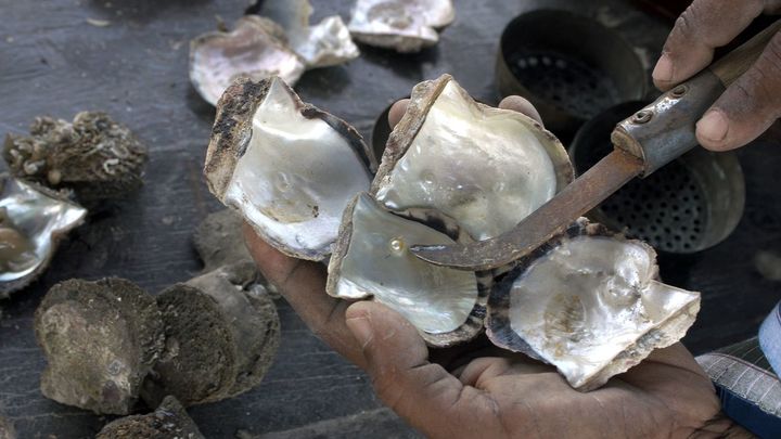 Buceo de perlas en Qatar / Europa Press