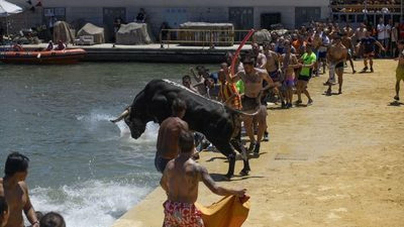 'Bous a la mar' en una localidad valenciana