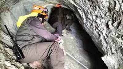 Localizados los restos de la osa y de sus dos oseznos despeñados en Palencia