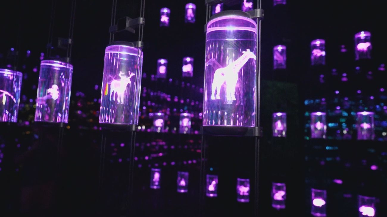 El Museo del Futuro, la nueva joya de Dubái