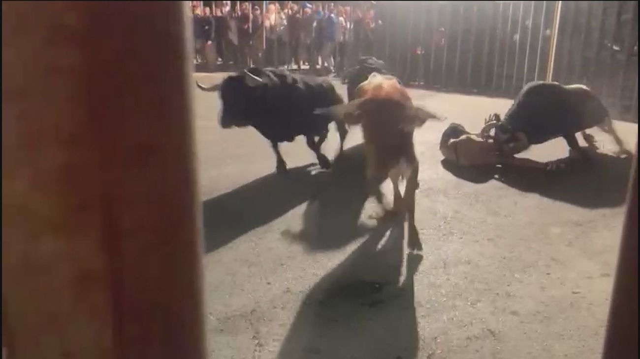 Grave cogida en los encierros de El Álamo, con un joven operado de urgencia