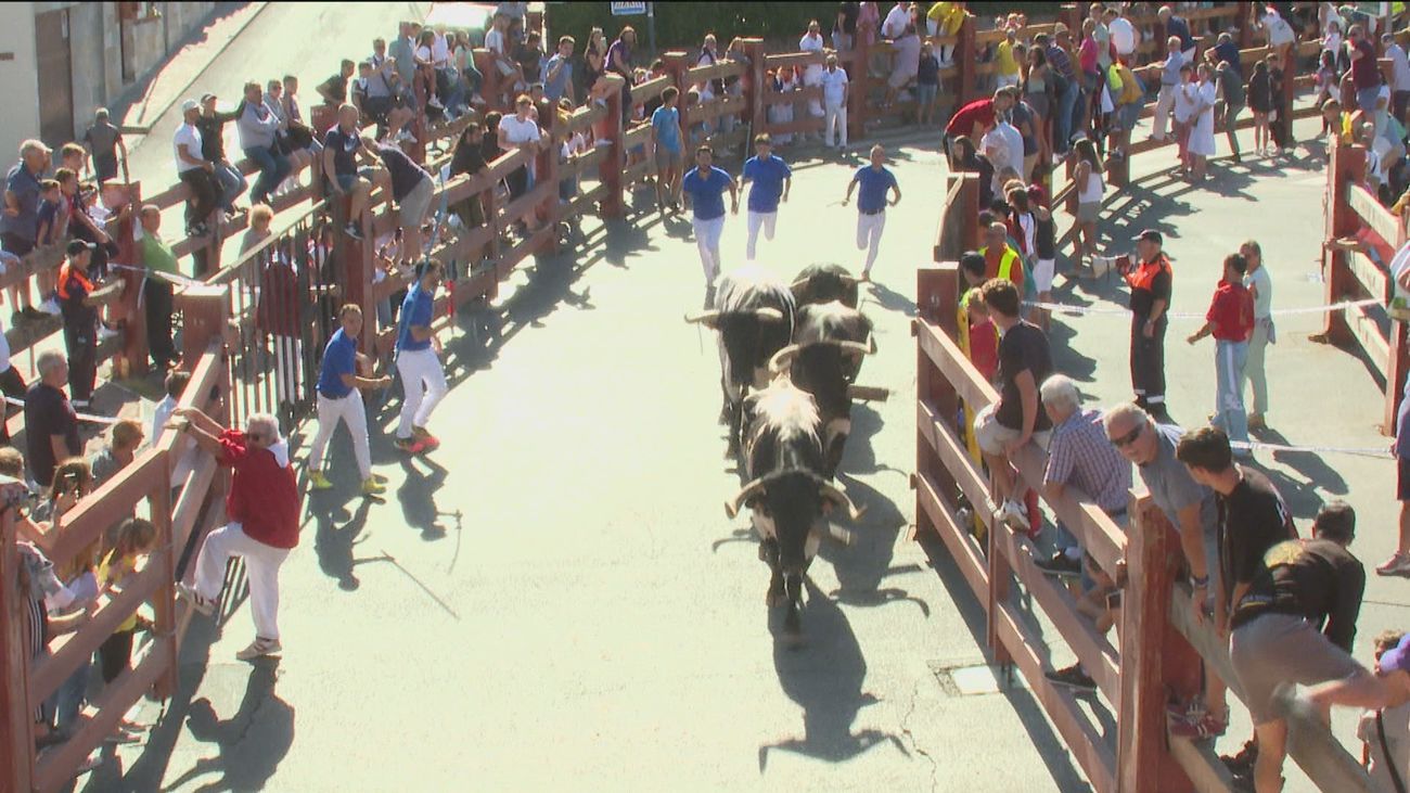 Pozuelo de Alarcón continua los festejos taurinos, actividades infantiles y conciertos