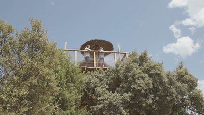 Disfruta de una experiencia única en la sierra de Madrid: ¡cabañas para dormir en lo alto de un árbol!