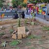 Vecinos de Lavapiés reconstruyen el Huerto Urbano Vecinal Gloria Fuertes