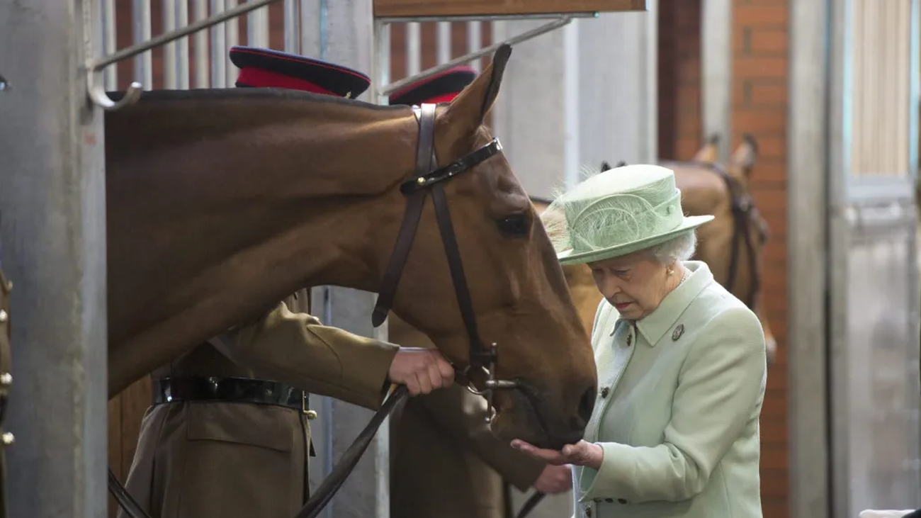 La reina Isabel II alimenta uno de los caballos del Ejército