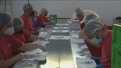 Apoyo especial en las empresas que emplean personas con discapacidad