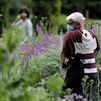 El Botánico se convierte en 'un jardín para todos' los colectivos vulnerables