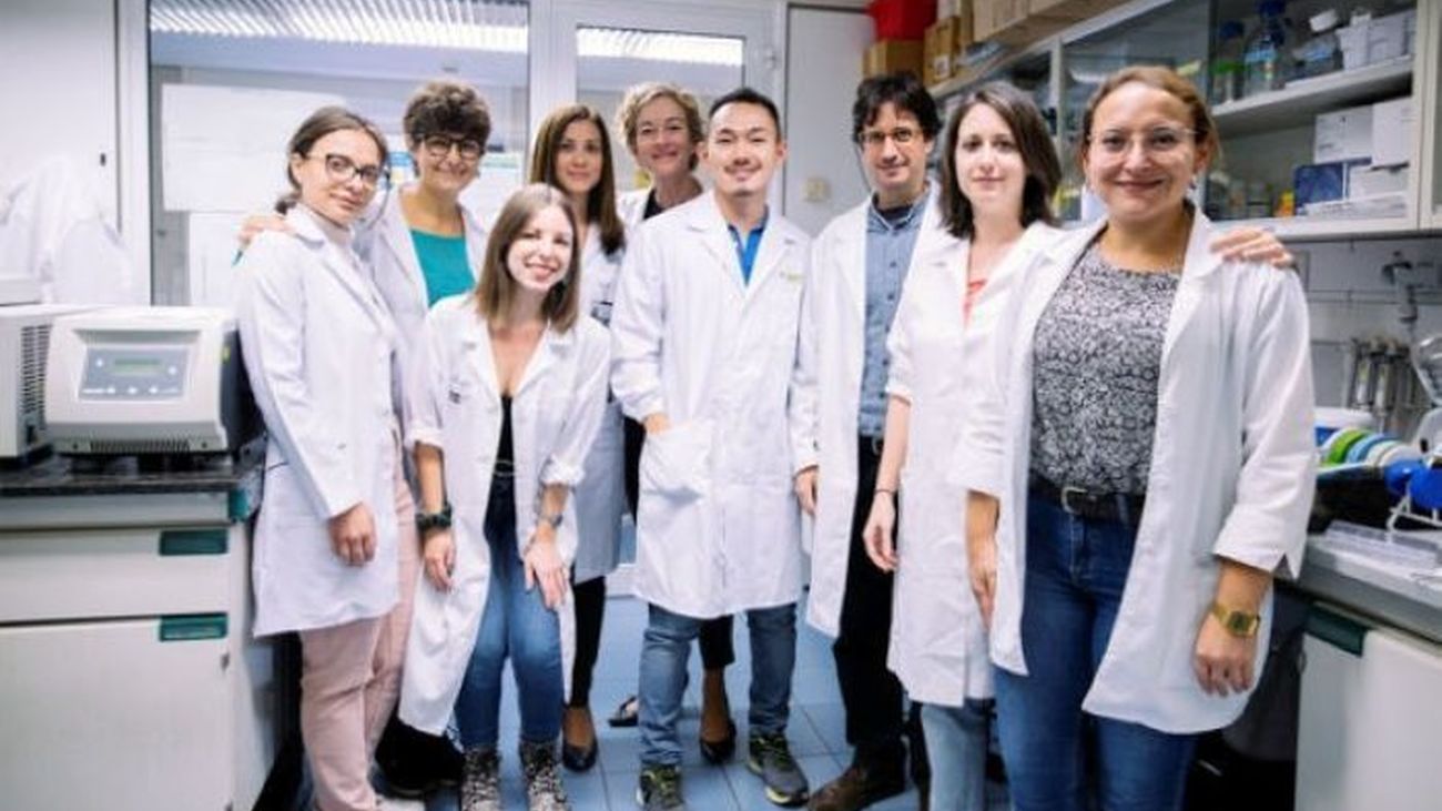 Hallan una nueva diana terapéutica contra el cáncer de pulmón más frecuente