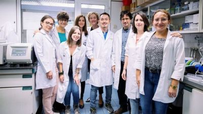 Hallan una nueva diana terapéutica contra el cáncer de pulmón más frecuente