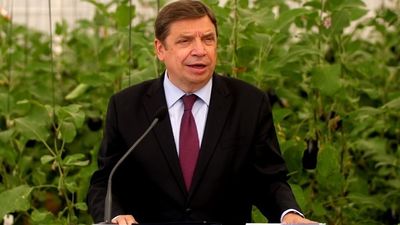 El ministro Planas prevé una estabilización de los precios y una "ligera" disminución en los próximos meses