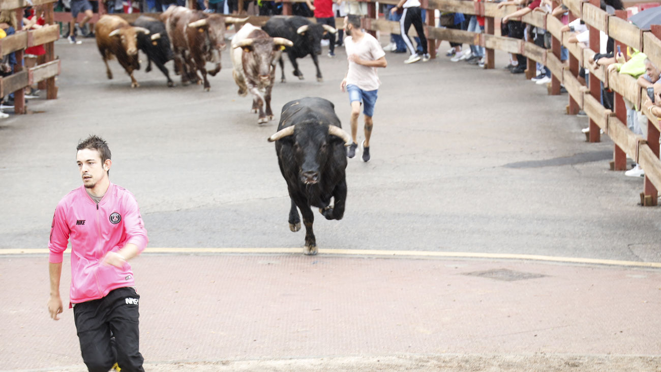 El primer encierro de las fiestas de Móstoles termina sin incidentes