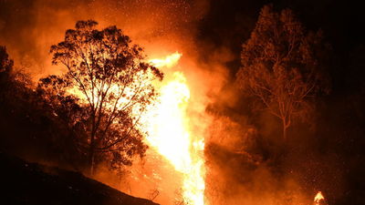 Prisión para una mujer por cinco incendios que quemaron un millar de hectáreas en Ourense
