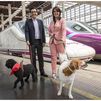 Renfe pone a la venta billetes para viajar en AVE con perros de hasta 40 kilos