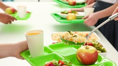 El Gobierno regulará la alimentación saludable en comedores escolares