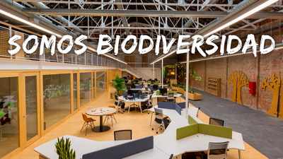 Impulsa tu proyecto sostenible gracias a la nueva convocatoria de Fundación Biodiversidad