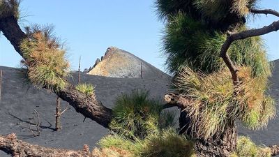 La Palma, un año después, con desplazados, 600 grados y gases letales