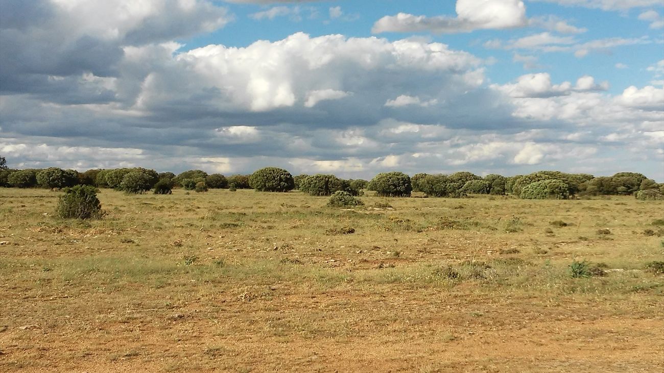 El clima árido avanza en España a un ritmo de 1.500 kilómetros  anuales