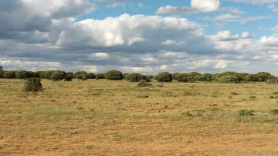 El clima árido avanza en España a un ritmo de 1.500 kilómetros  anuales
