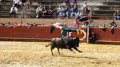 Las fiestas de Móstoles finalizan con más de 150.000 visitantes y "sin incidentes"