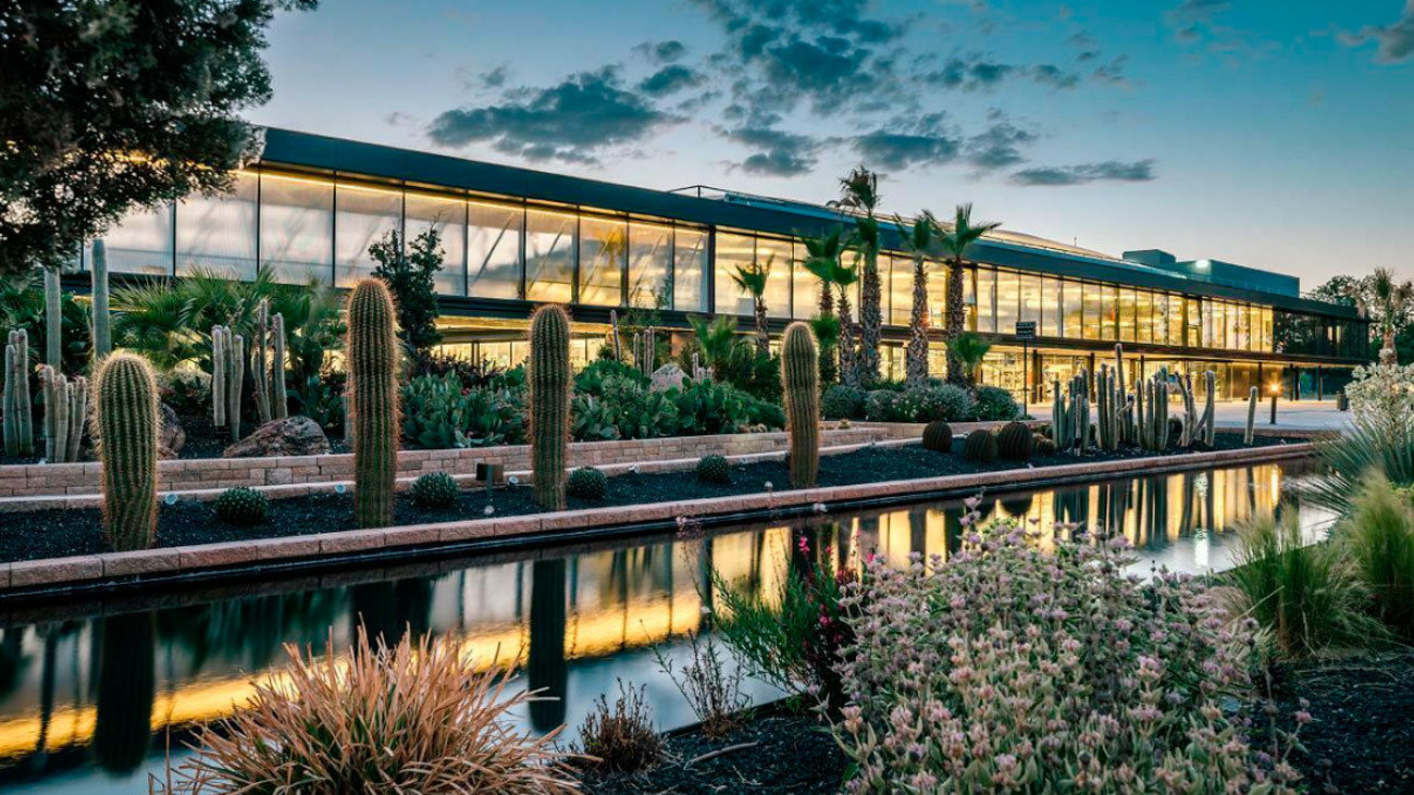 Desert City, en Madrid