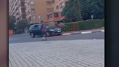 Salvaje atropello, discute con su suegra, la atropella y huye