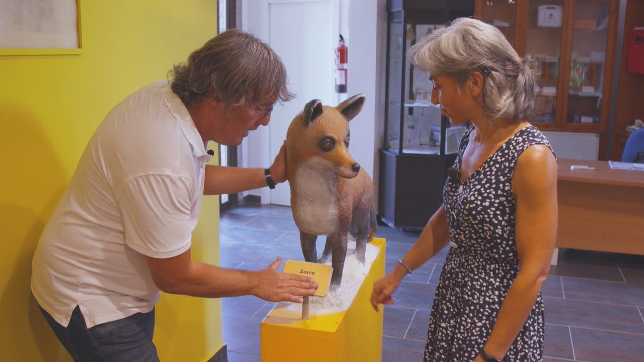 Descubrimos la naturaleza de Madrid a través de los cinco sentidos