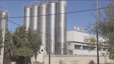 Movilizaciones contra los despidos de Bimbo en Madrid