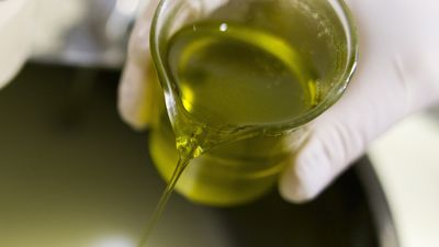 Un nuevo contenedor llega a las comunidades de vecinos de Madrid para la recogida de aceite vegetal