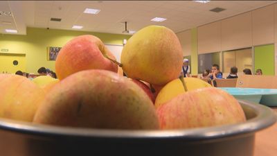 Los niños que van al comedor son más altos, rinden más y tienen mayores ingresos, según un estudio