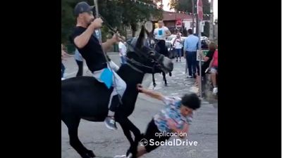 Una mujer es atropellada... en una carrera de burros