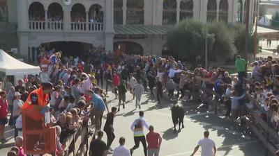 Tres heridos, uno de ellos grave, en el encierro matinal de este sábado en Moralzarzal